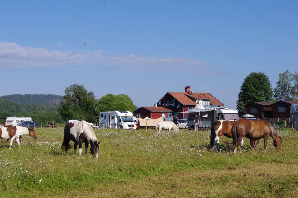 Sun Dance Ranch Bed & Breakfast Ekshärad Exterior foto